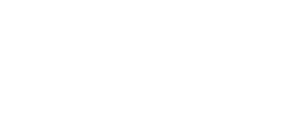 Logo of Stiftung Mercator Schweiz
